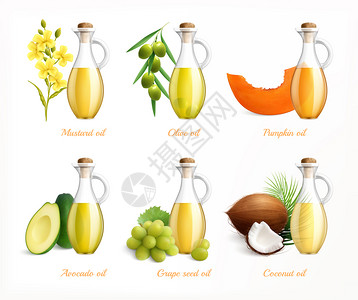 食品油写实图标芥末,橄榄,南瓜,鳄梨,葡萄籽椰子油矢量插图图片