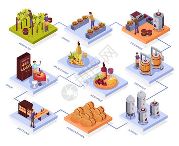 葡萄酒生产流程图与发酵符号等距矢量插图图片