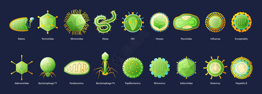 人类病艾滋病埃博拉流感肝炎绿色教育图表与名称黑色背景矢量插图图片