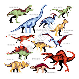 龙彩色卡通集的同种类的侏罗纪化石人与描述矢量插图龙颜色卡通集图片
