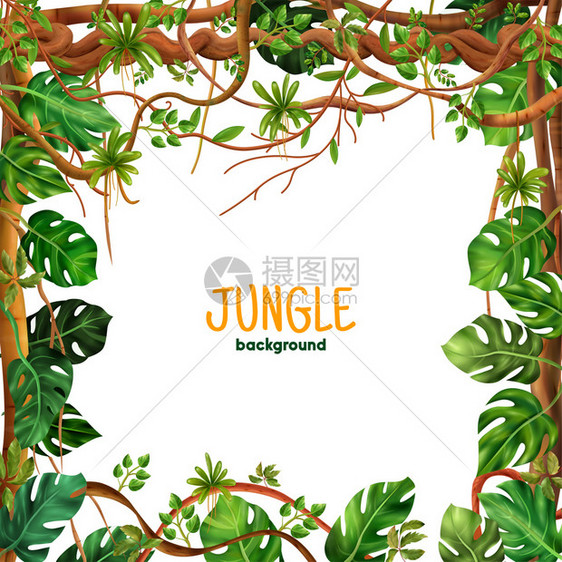 装饰热带雨林攀登利亚纳广场框架与丛林爬行藤蔓植物留下现实的背景矢量插图图片