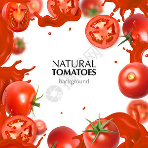 真实的框架与自然整体切片西红柿果汁溅白色背景矢量插图图片