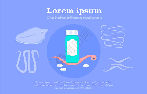肠道蠕虫症状治疗药物治疗人类动物蠕虫宿主平背景横幅矢量插图背景图片