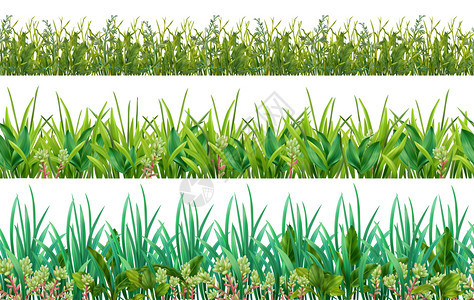 逼真的草色绿叶观叶植物3水平装饰无缝图案矢量插图图片