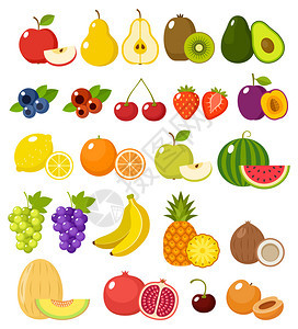 白色背景上分离的水果矢量插图图片