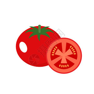 白色背景上的西红柿矢量插图图片