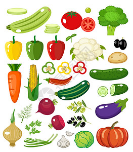 蔬菜白色背景上分离矢量插图图片