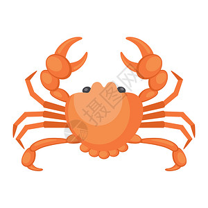 海鲜白色背景上螃蟹的插图矢量平插图图片