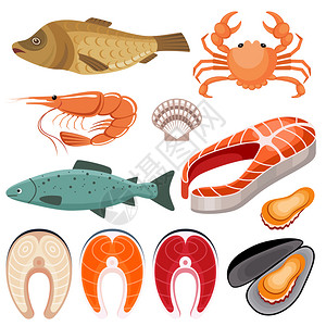 海鲜白色背景上鱼虾贻贝螃蟹的插图矢量平插图图片