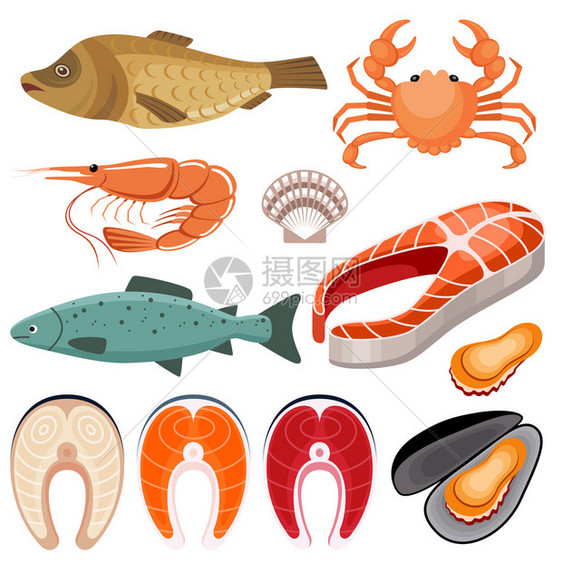 海鲜白色背景上鱼虾贻贝螃蟹的插图矢量平插图图片