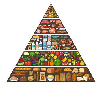 饮食金字塔食物金字塔健康饮食信息图矢量平插图插画