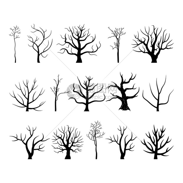 树矢量插图图片
