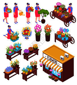 等距花卉店套盆花与人类的特点,卖家矢量插图花店等距元素集图片