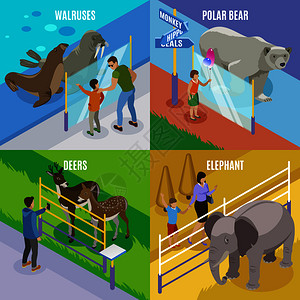 接触动物园等距2x2与极地热带动物的图像,没笼子矢量插图图片