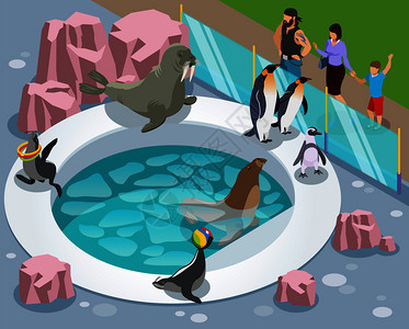 接触动物园等距构图与企鹅定制湖泊人背后的光泽分离屏障矢量插图图片