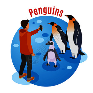 联系动物园等距背景与企鹅家庭人的格,他们的照片智能手机矢量插图图片