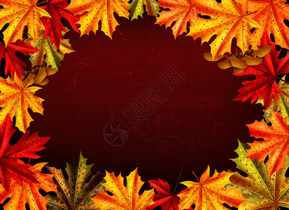 感恩节彩色卡片与文字树叶的枫叶风格矢量插图感恩节彩色卡片图片