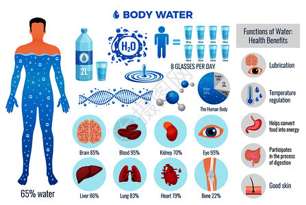 身体水集与水功能符号平孤立矢量插图身体水套图片