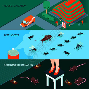 国内消水平横幅方法的昆虫啮齿动物灭绝三维等距孤立矢量插图国内消等距横幅图片