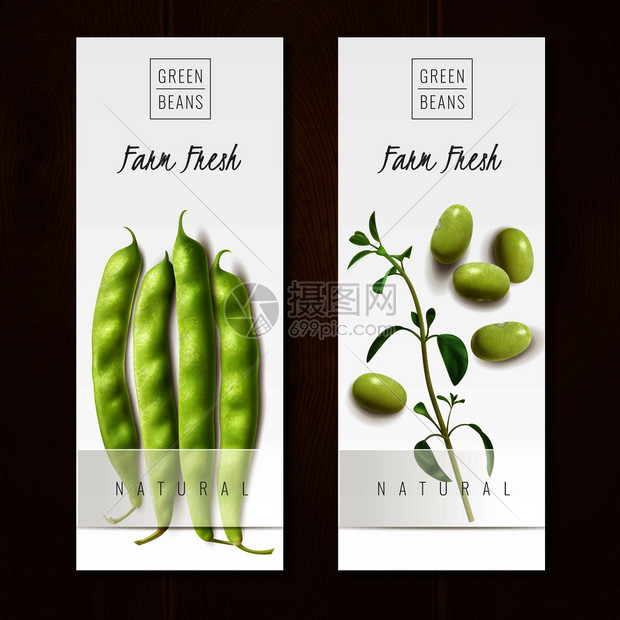 新鲜机绿豆荚健康选择农场市场提供2个现实的垂直横幅孤立矢量插图绿豆现实的横幅图片