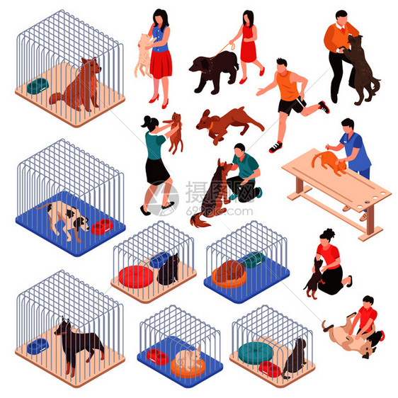 动物收容所与狗猫笼子里,人类人物与宠物等距矢量插图动物收容所等距集图片