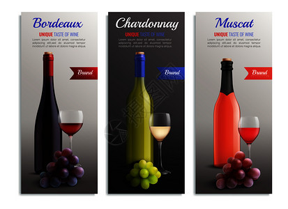 葡萄酒逼真的垂直横幅与独特的味道波尔多霞多丽肌肉品种的葡萄酒矢量插图背景图片