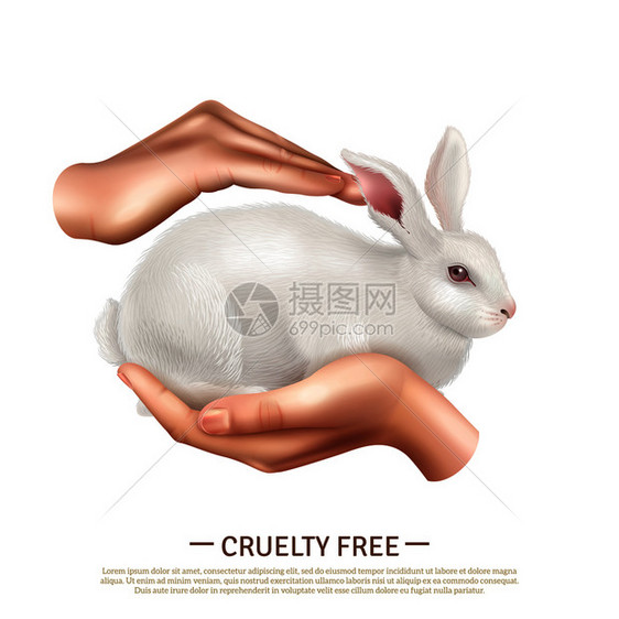 残忍自由的理念,小可爱的兔子人类手中动物保护的象征,现实的矢量插图残忍自由理念图片