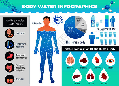 身体水信息图集与水平衡符号平矢量插图身体水信息摄影集图片