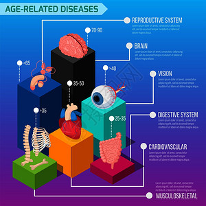 龄相关的人类疾病信息布局与内脏生物系统失败的统计等距矢量图图片