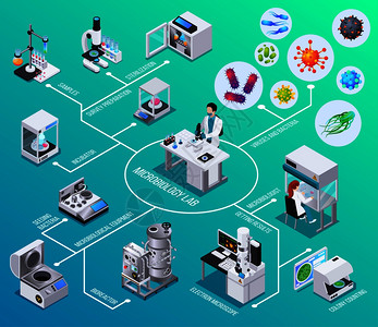 微生物学实验室流程图,生物反应器,电子显微镜,播种细菌,菌落计数,等距元素矢量图背景图片