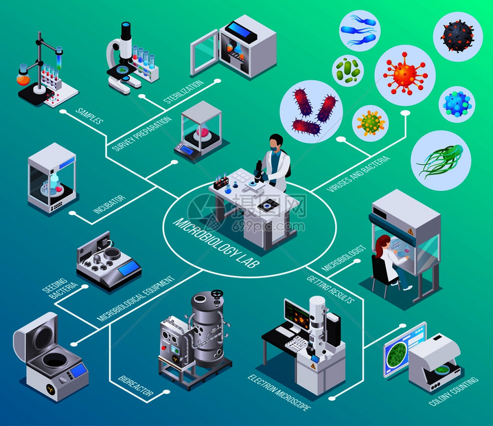 微生物学实验室流程图,生物反应器,电子显微镜,播种细菌,菌落计数,等距元素矢量图图片