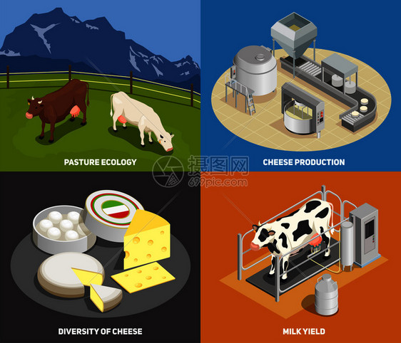 奶酪生产2x2集牧场产奶量制造多样奶酪方形图标等距矢量插图图片