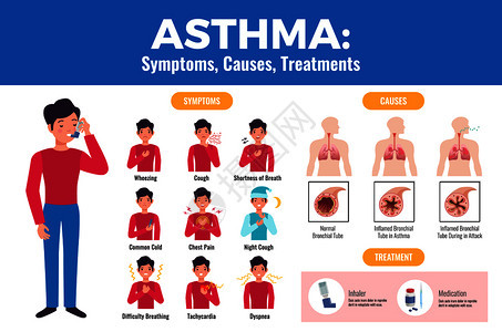 哮喘症状导致治疗扁平的医疗海报与病人持吸入器发炎的支气管矢量插图图片