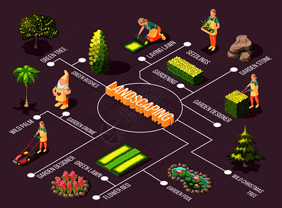 园林景观等距流程图与园林师绿色植物装饰紫色背景矢量插图图片