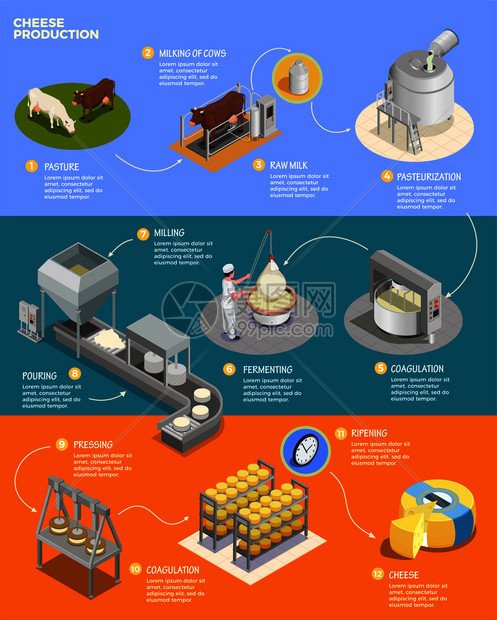 奶酪生产等距信息布局与十个阶段的奶酪准备原始牛奶矢量插图图片