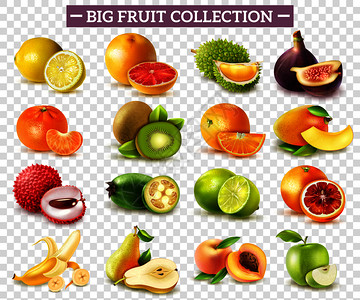 真实的套各种水果与橙色猕猴桃梨柠檬石灰苹果分离透明背景矢量插图图片