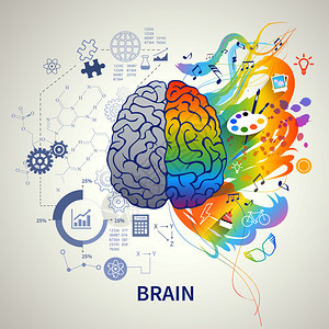 大脑功能信息符号描绘与左侧逻辑科学数学右侧艺术创意矢量插图图片