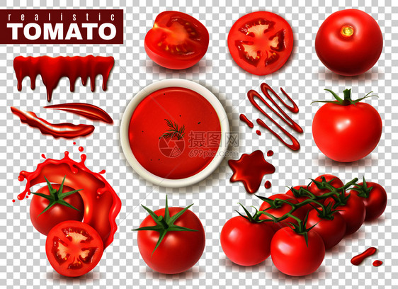 真实的番茄透明的背景与图像,整个水果片飞溅的果汁矢量插图图片