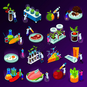 等距图标与人工食品科学家实验室设备紫色背景孤立矢量插图图片