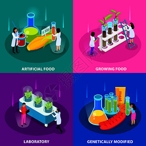 人工食品等距与种植蔬菜实验室基因产品分离矢量插图图片