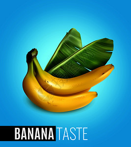 成熟的香蕉与棕榈叶广告自然食品味道现实海报蓝色背景矢量插图图片