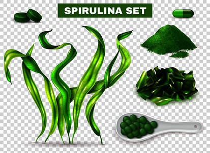 螺旋藻逼真海藻补充胶囊,绿色粉末切碎干藻透明背景矢量插图背景图片