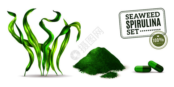 螺旋藻补充海藻藻类植物干粉胶囊的日常摄入现实矢量插图图片