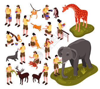 等距动物园工作人员空白背景矢量插图上了动物园饲养员动物的孤立人类特征图片