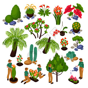 等距植物园温室与各种植物,树木花卉的孤立图像与人的矢量插图图片