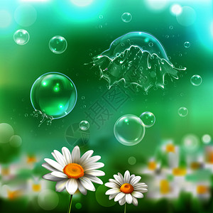 肥皂泡漂浮爆裂爆炸以上洋甘菊花现实图像与绿色模糊背景矢量插图图片