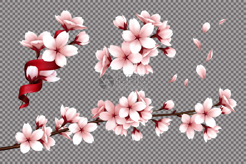 透明背景与现实开放的樱花花瓣矢量插图插画图片下载 正版图片 摄图网 透明背景与现实开放的樱花花瓣矢量插图插画图片下载 正版图片 摄图网