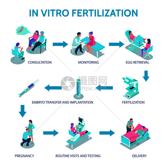 体外受精海报与咨询监测符号等距矢量插图图片