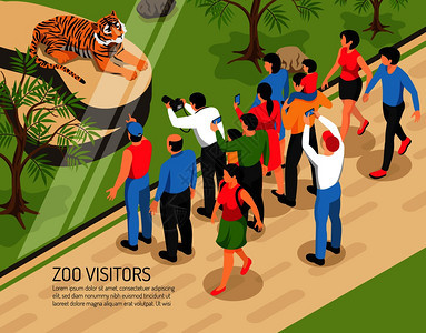 动物园游客,成人儿童与照片相机附近地区与老虎等距矢量插图图片
