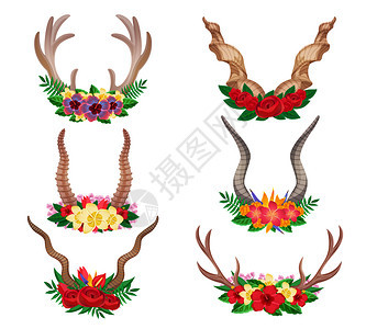 野生动物亲爱的山羊驼鹿观赏花角装饰花卉布置孤立矢量插图图片